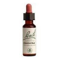 Bach Flower Remedies Essence Chestnut Bud -- 20 ml