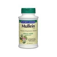 Nature's Answer Mullein Leaf 500 mg -- 90 Vegetarian Capsules