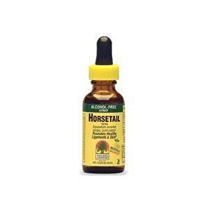 Nature's Answer Alcohol-Free Horsetail Herb -- 1 fl oz
