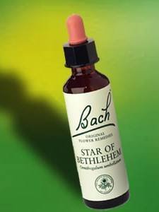 Bach Flower Remedies Essence Star Of Bethlehem -- 20 ml