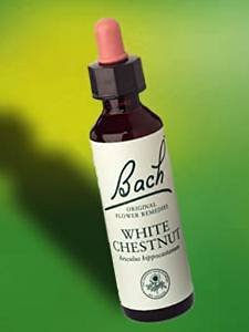 Bach Flower Remedies Essence White Chestnut -- 20 ml
