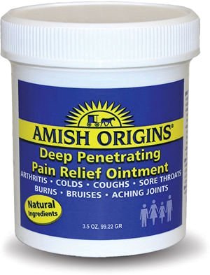 Amish Origins Deep Penetrating Pain Relief Ointment -- 3.5 oz