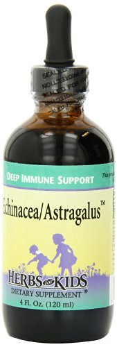 Herbs For Kids Echinacea and Astragalus -- 4 fl oz