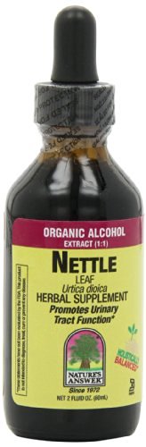 Nature's Answer Nettle Leaf -- 2 fl oz