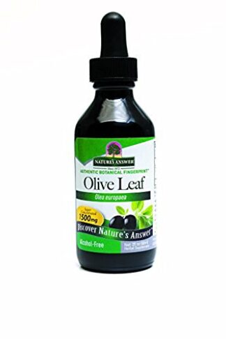 Nature's Answer Alcohol Free OleoPein Olive Leaf -- 2 fl oz