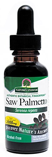 Nature's Answer Alcohol-Free Saw Palmetto Berry -- 1 fl oz