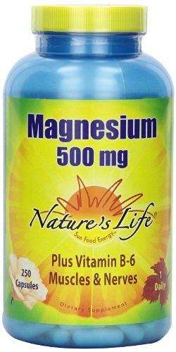 Nature's Life Magnesium 500mg -- 250 Capsules