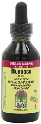 Nature's Answer Burdock Root -- 2 fl oz