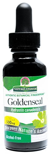 Nature's Answer Alcohol-Free Goldenseal Root -- 1 fl oz