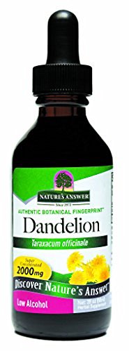 Nature's Answer Dandelion Root -- 2 fl oz
