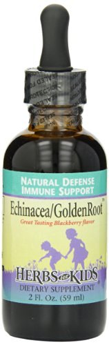 Herbs For Kids Echinacea GoldenRoot Orange -- 2 fl oz