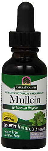 Nature's Answer Mullein Leaf Alcohol Free -- 1 fl oz