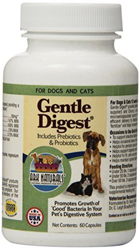 Ark Naturals Gentle Digest -- 60 Capsules