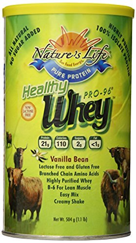 Nature's Life Healthy Whey Pro-96 -- 390g