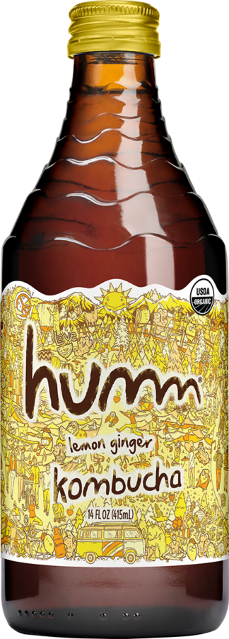 Humm Kombucha Lemon Ginger -- 14 oz