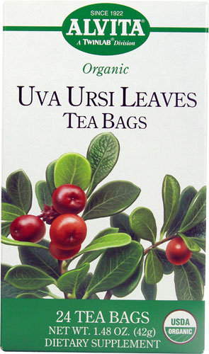 Alvita Organic Uva Ursi Leaves Tea Bags -- 24 Tea Bags