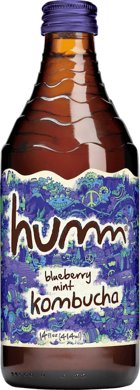 Humm Kombucha Blueberry Mint -- 14 oz