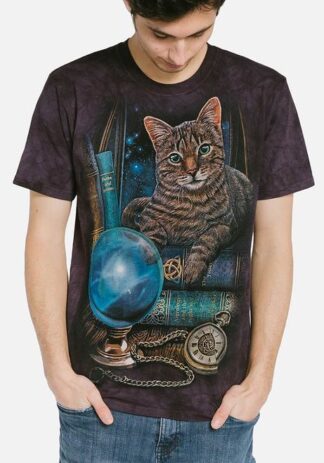 The Mountain The Fortune Teller T-Shirt