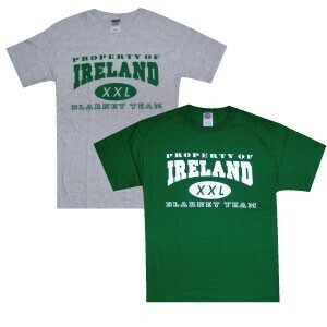 'PROPERTY OF IRELAND - BLARNEY TEAM' T-Shirt ASH