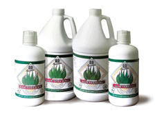 Aloe Organics Organic Aloe Vera Juice – 32 oz