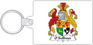 Custom Family Coat of Arms Key Chain