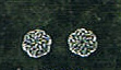 Sterling Silver Star Celtic Weave Stud Earrings 5410