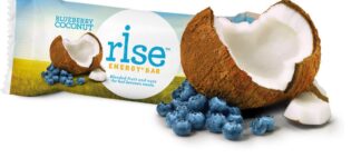 Divine Foods Rise Bar Organic Blueberry Coconut Energy Bar 48 g