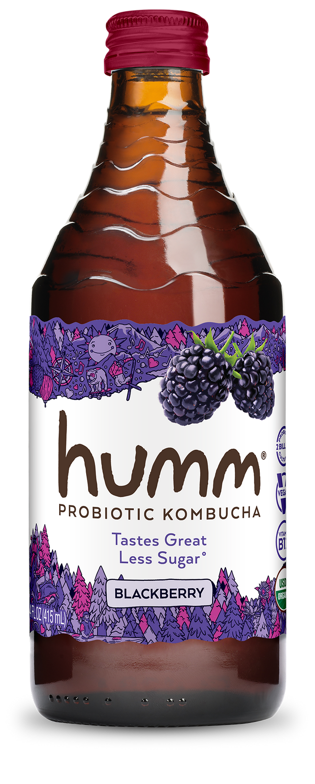 Humm Kombucha Blackberry -- 14 oz