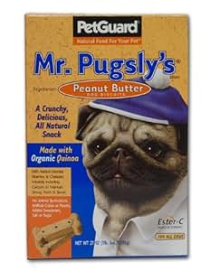 PetGuard Mr. Pugly's Peanut Butter Dog Biscuits -- 21 oz.