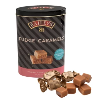Baileys Caramel Fudge Original Irish Cream Flavor Gift Tin -- 250g
